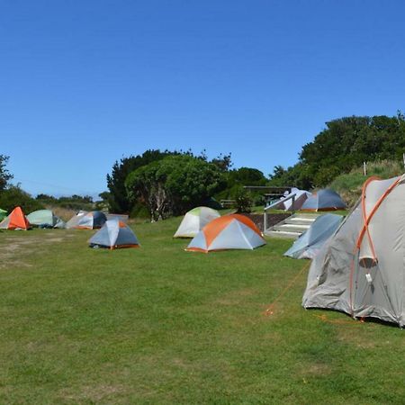 Dunedin Holiday Park Bagian luar foto