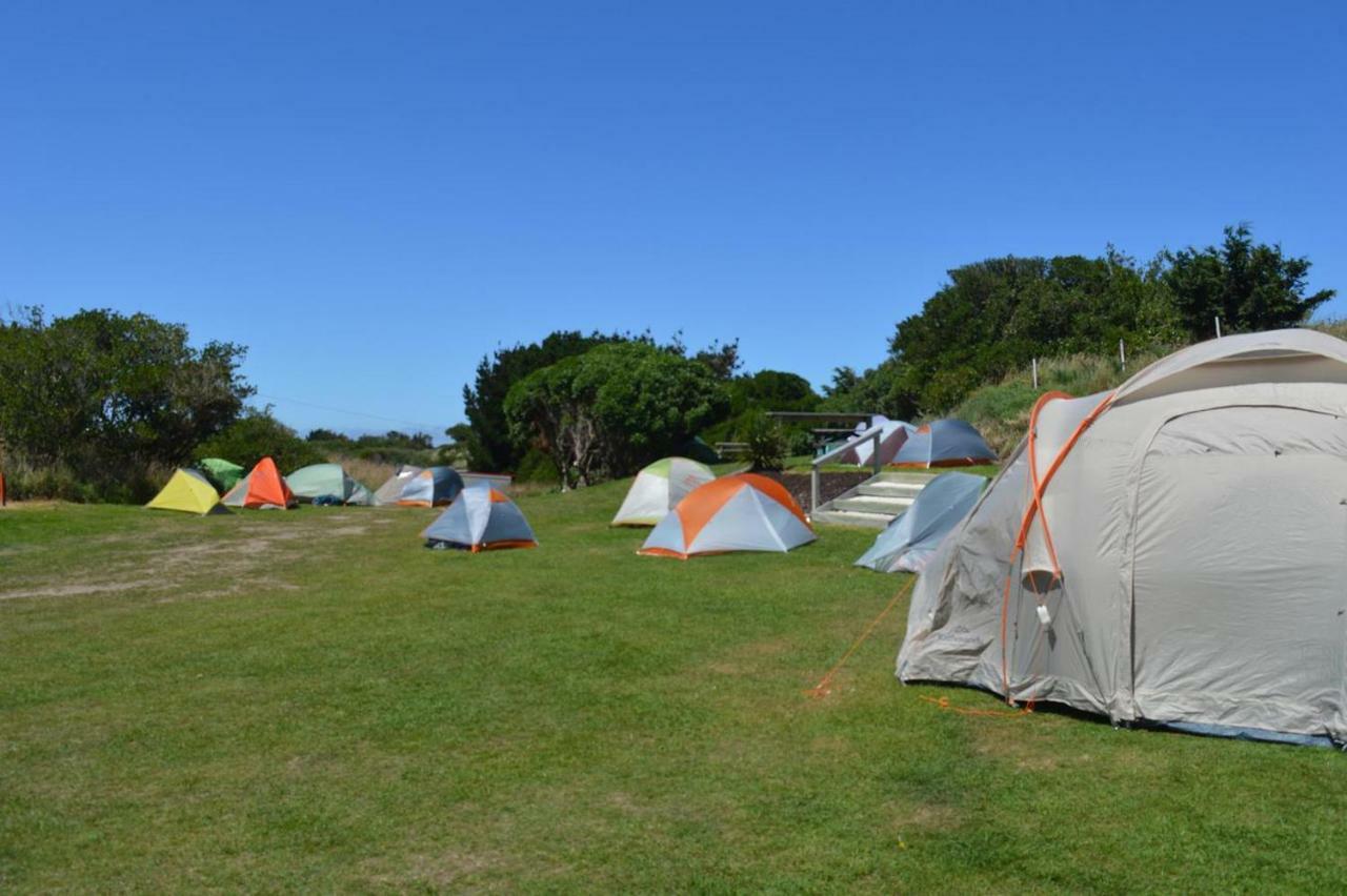 Dunedin Holiday Park Bagian luar foto